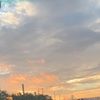 alexa_crebs